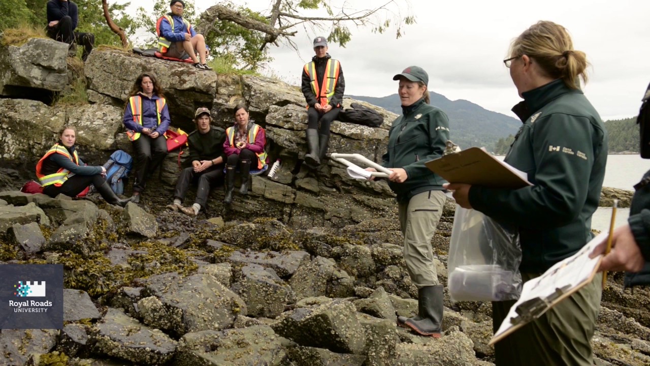 B.Sc Environmental Science